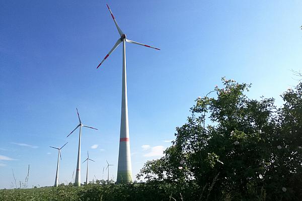 Windräder bei Tantow in Brandenburg, über dts Nachrichtenagentur