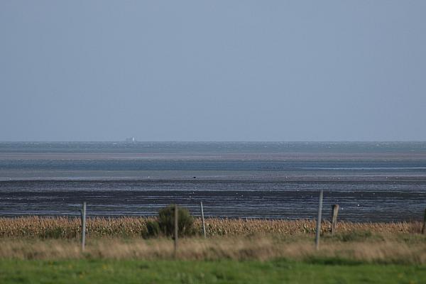 Das Wattenmeer an der Nordsee, über dts Nachrichtenagentur