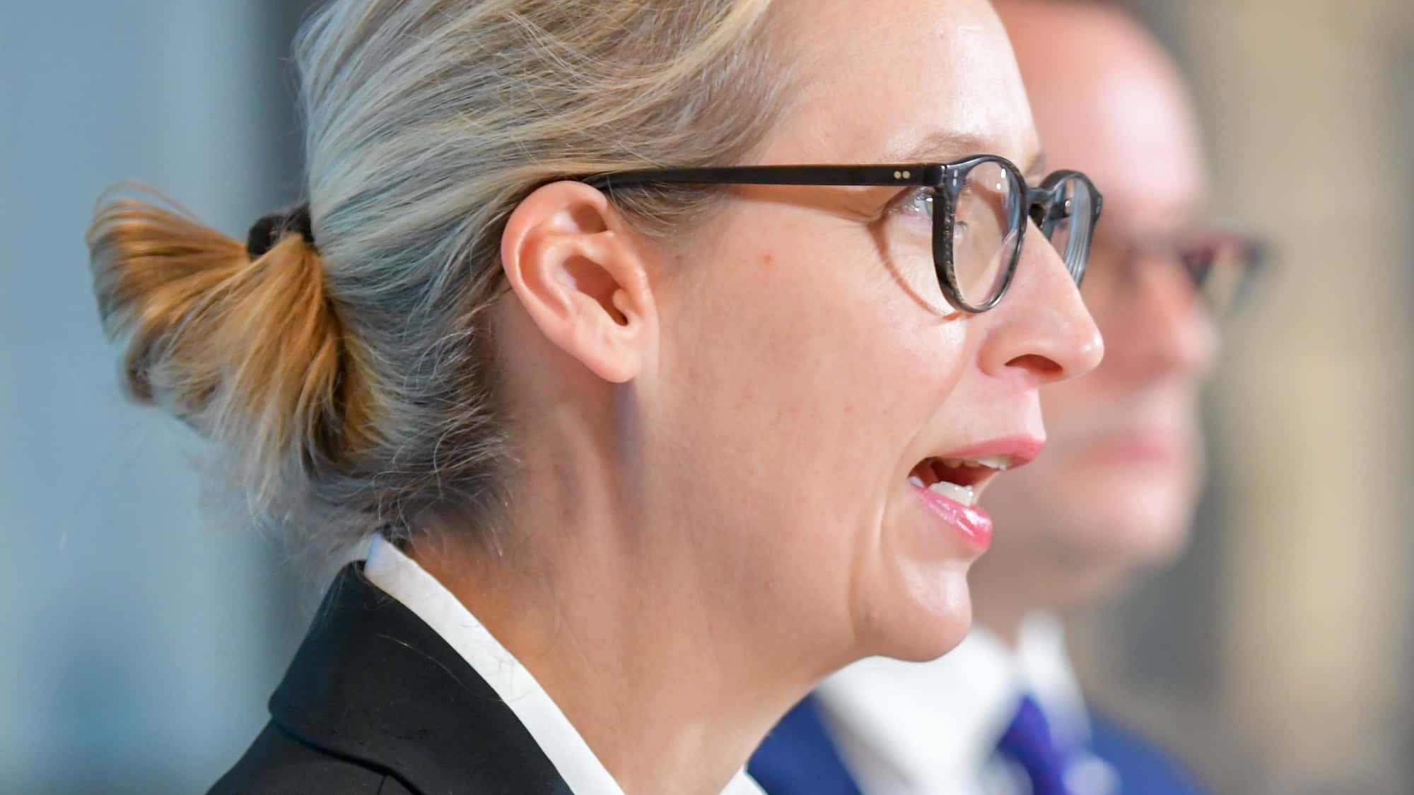 Alice Weidel, AfD 