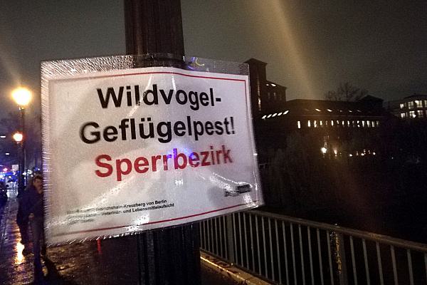 Warnschild vor Geflügelpest in Berlin (Archiv), über dts Nachrichtenagentur