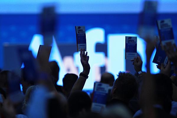 Abstimmung auf AfD-Parteitag (Archiv), via dts Nachrichtenagentur