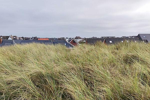 Häuser auf Sylt (Archiv), via dts Nachrichtenagentur