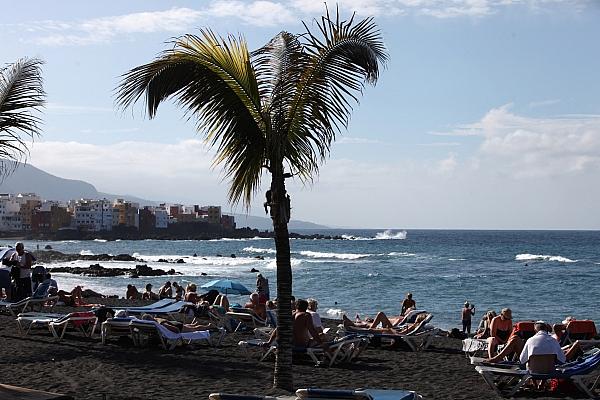 Palme an einem Strand (Archiv), via dts Nachrichtenagentur