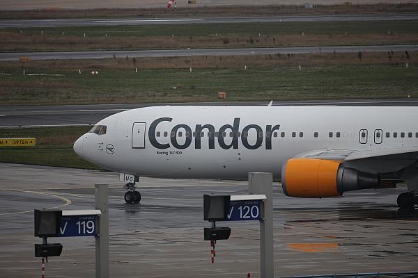 Condor (Archiv), via dts Nachrichtenagentur