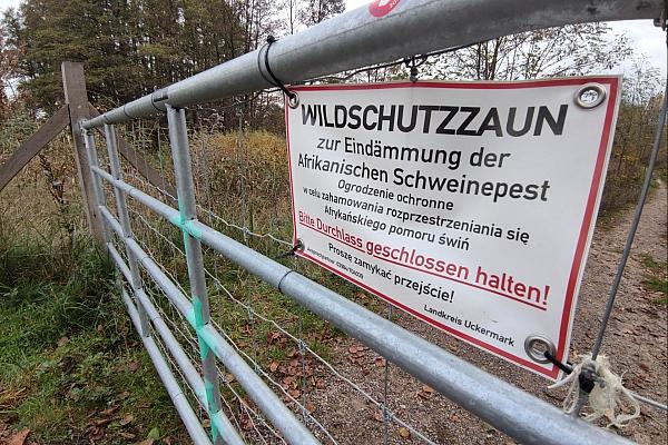 Wildschutzzaun gegen Afrikanische Schweinepest (Archiv), via dts Nachrichtenagentur