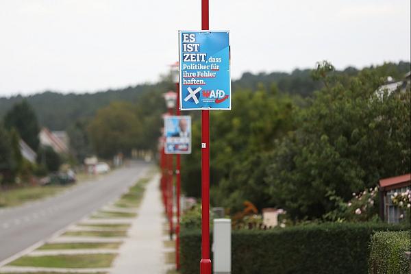 AfD-Wahlplakate zur Landtagswahl in Brandenburg (Archiv), via dts Nachrichtenagentur