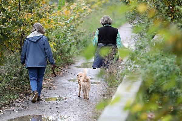 Zwei Frauen gehen mit einem Hund Gassi (Archiv), via dts Nachrichtenagentur