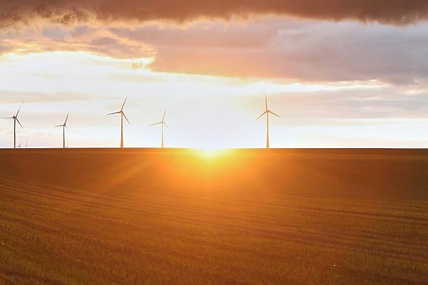 Windräder am 05.10.2024, via dts Nachrichtenagentur